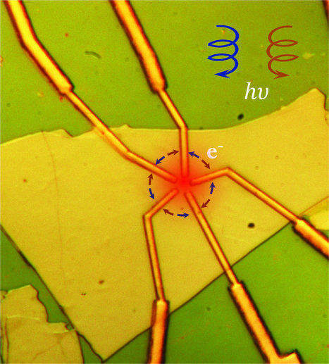 Unique electrical properties in quantum materials can be controlled using light | Amazing Science | Scoop.it