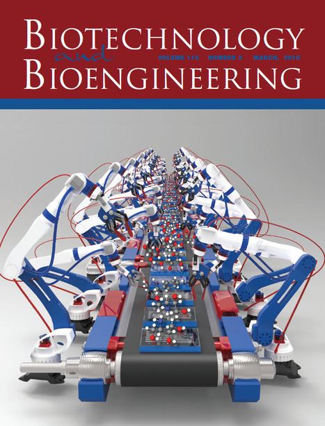 Featured Photo: Cover of Biotechnol. Bioeng. Credits BERG-iBB Contribution | iBB | Scoop.it