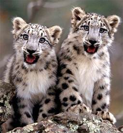 David Graeber: On the Invention of Money &ndash; Notes on Sex, Adventure, Monomaniacal Sociopathy and the True Function of Economics | naked capitalism | Peer2Politics | Scoop.it