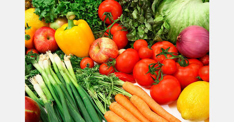 EGYPTIAN agricultural exports reach 3.7 million tons in 2026 | CIHEAM Press Review | Scoop.it