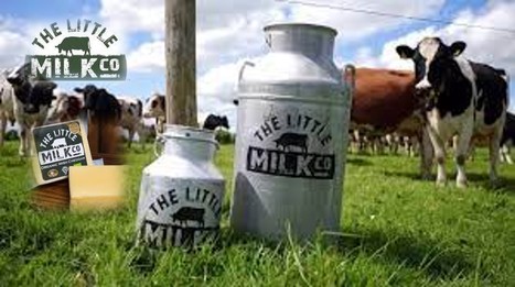 Des éleveurs bio irlandais créent une laiterie pour booster leur revenu | Lait de Normandie... et d'ailleurs | Scoop.it