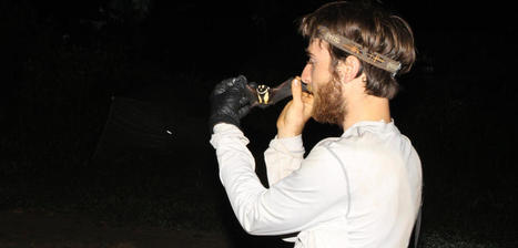 &Agrave; l&rsquo;&eacute;coute de la chauve-souris panda | Biodiversit&eacute; | Scoop.it