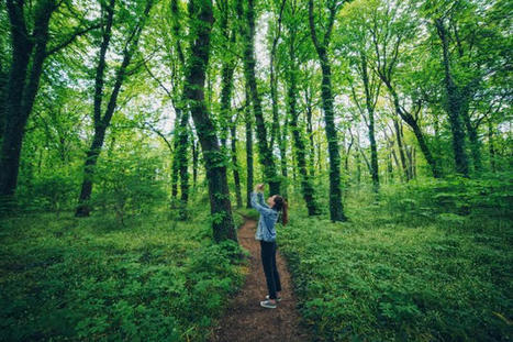 Balades: 5 applis pour pimenter vos sorties - Voyage - LeVif Weekend | Tourisme de randonnées                                                                                                                                                                                 & Sports de nature pour les pros | Scoop.it