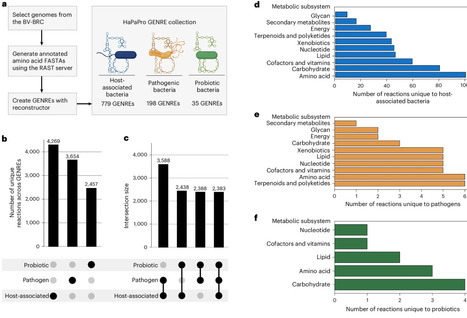 Genome-scale metabolic modelling identifies vaginal microbiome members as potential probiotics | Nmb | RMH | Scoop.it