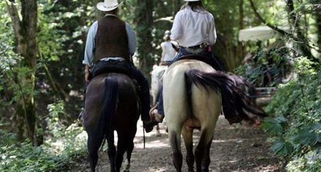 Le comit&eacute; d&eacute;partemental relance la machine | Cheval et Nature | Scoop.it