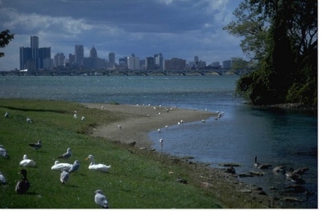 Publication : Le paysage au service de la biodiversit&eacute; dans la ville durable | ECOLOGIE - ENVIRONNEMENT | Scoop.it