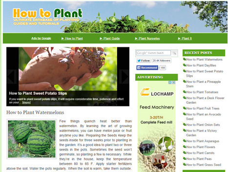 How To Plant | Hobby, LifeStyle and much more... (multilingual: EN, FR, DE) | Scoop.it