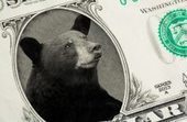 Who benefited most from charity Alaska bear hunts for veterans? | BIODIVERSITY IS LIFE  &ndash; | Scoop.it