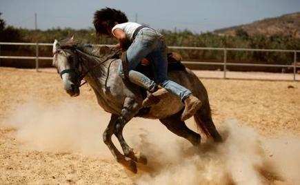 Raja Kheir, dresseuse de pur-sang dans les plaines du Golan | Cheval et Nature | Scoop.it
