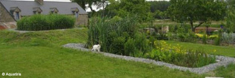 La phytoépuration pour l’assainissement individuel | Build Green, pour un habitat écologique | Scoop.it