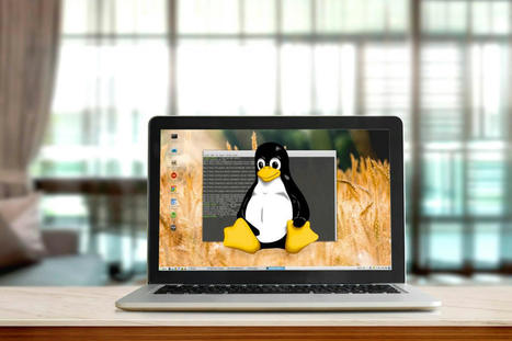 Qué es Linux: ventajas, diferencias con Windows y mejores distribuciones  | tecno4 | Scoop.it