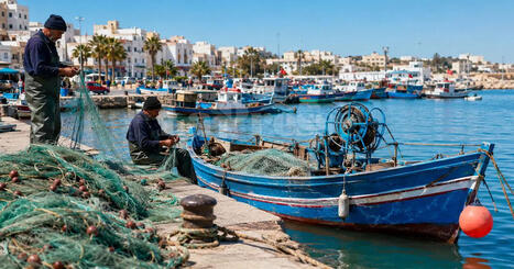 TUNISIE : Les trois raisons de la baisse des ressources halieutiques tunisiennes | CIHEAM Press Review | Scoop.it