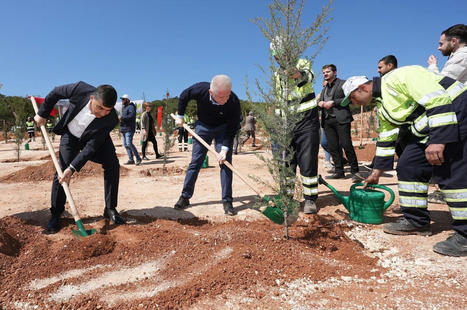 10 saplings to be planted for each tree cut down in TURKEY's quake zone | CIHEAM Press Review | Scoop.it