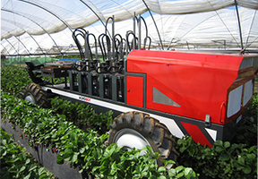 &laquo; Des robots intelligents pour la cueillette des fruits &raquo; | Pour innover en agriculture | Scoop.it