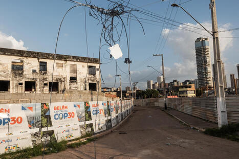Climat : une COP pour envoyer un message d’unité et de persévérance | Variétés entomologiques | Scoop.it