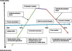 Historical development of forest policy in Ethiopia: Trends of institutionalization and deinstitutionalization | &Eacute;cosyst&egrave;mes Tropicaux | Scoop.it