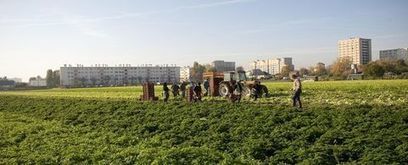 Priorité pour le développement rural - Ministère de l'agriculture, de l'agroalimentaire et de la forêt | SCIENCES DE L' ANIMAL | Scoop.it