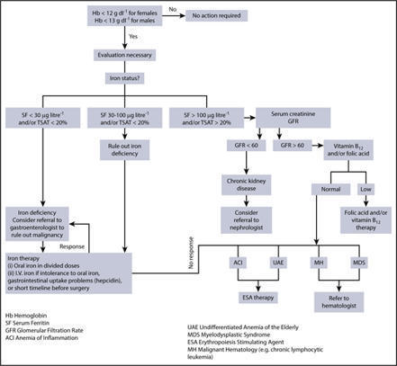 Anemia of inflammation | Blood | American Society of Hematology | Hematology | Scoop.it