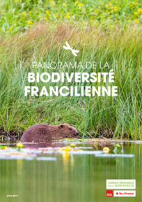 Panorama de la biodiversité francilienne (2019) | ARB îdF | Insect Archive | Scoop.it