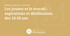 Les jeunes et le travail : aspirations et d&eacute;sillusions des 16-30 ans | Veille emplois & m&eacute;tiers | Scoop.it