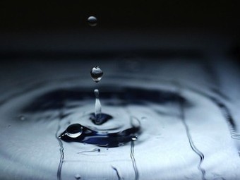 Holy cow! That burger just cost 660 gallons of water to make. | Stage 4 Water in the World | Scoop.it