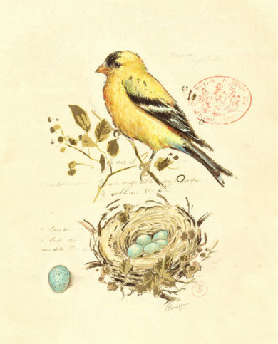 Julistekuvat | 1Uutiset - Lukemisen t&auml;hden | Scoop.it