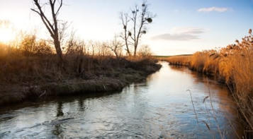 Un MOOC &laquo; Ma&icirc;triser le Syst&egrave;me d&rsquo;Information sur l&rsquo;Eau &raquo; est disponible - Oieau | Biodiversit&eacute; | Scoop.it