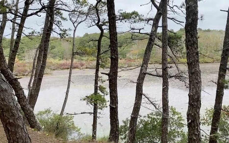 Cape Eyes March 2026: Sensor Tech Takes to the Pond | by Teresa Martin | CapeCodNews.org | @The Convergence of ICT, the Environment, Climate Change, EV and HEV Transportation & Distributed Renewable Energy | Scoop.it