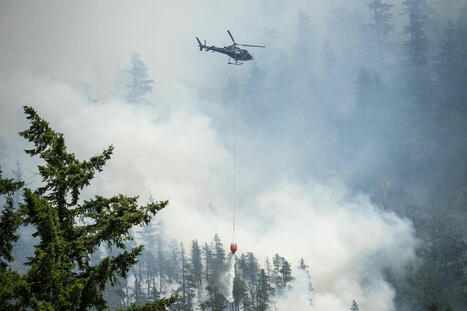 Smoke from Canadian wildfires hits air quality across U.S. Midwest and Northeast - NBC News | Operation Deimos | Scoop.it
