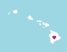 Lambda Legal Applauds After Hawai'i State Legislature Passes Marriage Equality Bill | PinkieB.com | LGBTQ+ Life | Scoop.it