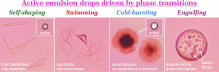 Active drops driven by surface and polymorphic phase transitions: Current understanding and emerging perspectives | Papers | Scoop.it