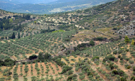 UE: La Cour des comptes europ&eacute;enne s'alarme du d&eacute;clin de la biodiversit&eacute; des terres agricoles | CIHEAM Press Review | Scoop.it