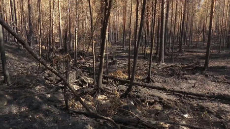 Mets&auml;palot piinavat Ven&auml;j&auml;n Karjalaa &ndash; Yle seurasi, kuinka vapaaehtoiset auttavat sammutust&ouml;iss&auml; | Yle Uutiset | yle.fi | 1Uutiset - Lukemisen t&auml;hden | Scoop.it