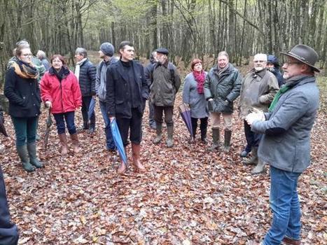 Des contrats Natura 2000 qui profitent à tous dans le Perche | Biodiversité | Scoop.it