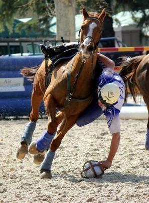 Mazamet. Un championnat de France de horse-ball | Cheval et sport | Scoop.it