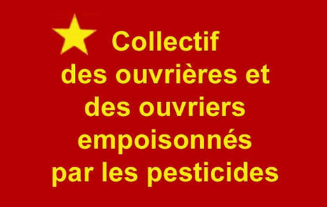 Banane : Le collectif des ouvriers agricoles empoisonnés par les pesticides demande le retrait de la campagne publicitaire en cours.  | Revue Politique Guadeloupe | Scoop.it