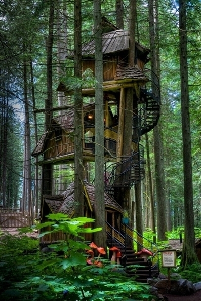 Three Story Tree House | 1001 Gardens | 1001 Gardens ideas ! | Scoop.it
