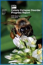 Syndrome d'effondrement des colonies d'abeilles, l'USDA publie un nouveau rapport. | SCIENCES DU VEGETAL | Scoop.it