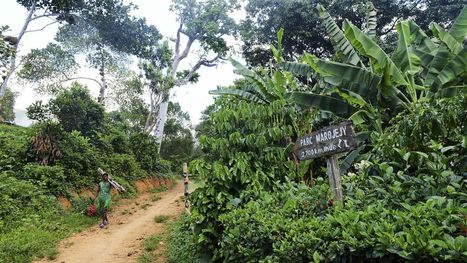 Biodiversité : le rapport alarmant de l'Unesco sur ses sites protégés | Biodiversité | Scoop.it