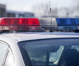 Une grande op&eacute;ration polici&egrave;re m&egrave;ne &agrave; pr&egrave;s de 500 arrestations dans le milieu de la traite d&rsquo;humains en Californie | ACTUALIT&Eacute; | Scoop.it