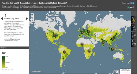 StoryMap - Feeding the world: Can global crop production meet future demands? | GTAV AC:G Y9 - Biomes and food security | Scoop.it