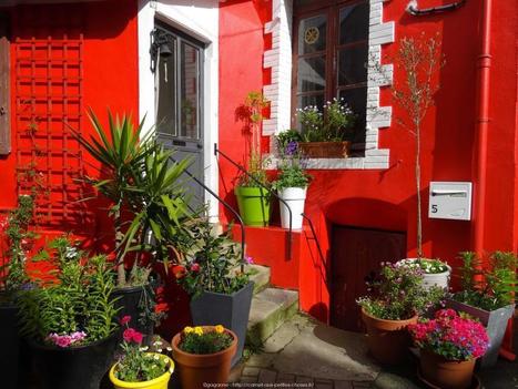 un tour &agrave; Trentemoult | Les blogs parlent du Voyage &agrave; Nantes | Scoop.it