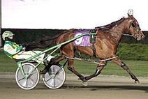Teague and Jamieson team up to take Blossom splits - Harness Racing Newsroom - USTA - USTROTTING | Racing News | Scoop.it