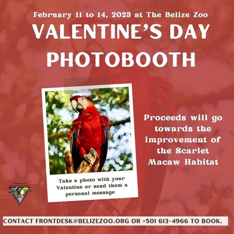 Belize Zoo Valentine's Photobooth | Cayo Scoop!  The Ecology of Cayo Culture | Scoop.it