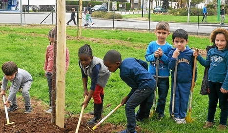 Vannes - Kercado. 30 arbres fruitiers ont été plantés au pied des immeubles | L'actualité des quartiers politique de la ville de Bretagne et Pays de la Loire | Scoop.it