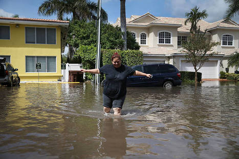Coastal Flooding Is Erasing Billions in Property Value as Sea Level Rises. That's Bad News for Cities. | Sustainability Science | Scoop.it