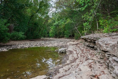 &Eacute;cologie : 23 scientifiques face &agrave; l'urgence climatique en Normandie | Une semaine d'actu - Newsletter de veille de l'AURH | Scoop.it