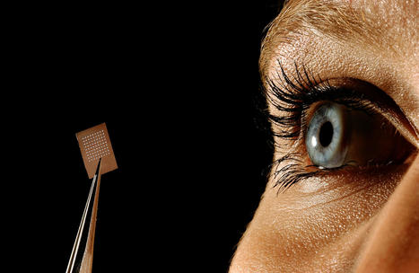 How AI and other technologies are making the world more accessible to the blind | Access and Inclusion Through Technology | Scoop.it