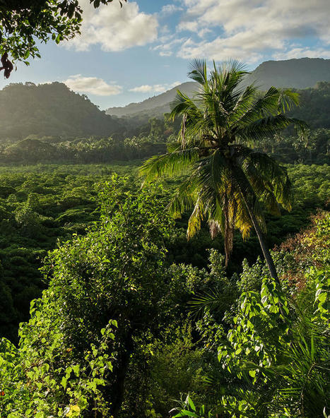 Les Comores veulent multiplier leurs parcs nationaux | Biodiversité | Scoop.it
