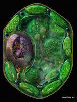 Frontiers | Putting the Spotlight Back on Plant Suspension Cultures | Plant Biotechnology | Plant Molecular Farming | Scoop.it